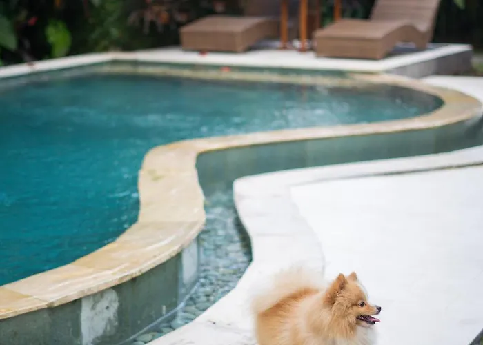 3br Pool In Ubud, Big Garden, Large Pool カントリーハウス