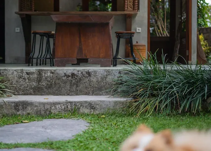 3br Pool In Ubud, Big Garden, Large Pool カントリーハウス